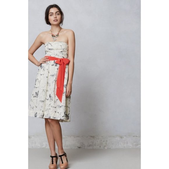 Anthropologie Dresses & Skirts - Rare! ANTHRO "Fetch & Frolic Dress" Dog Print, HTF